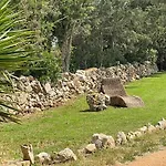 Masseria Vico بيت ضيافة